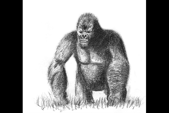 Sketch Ape